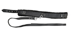 Kaamastra's Black Collar And Leash