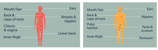 EROGENOUS AREAS IN MEN AND WOMEN