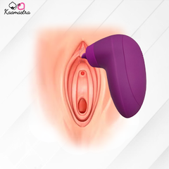 Vibrator
