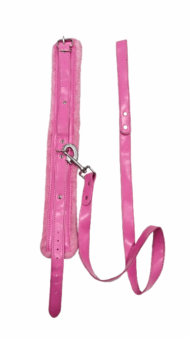 Soft Padded Pink Collar with Matching Leash by Kaamastra