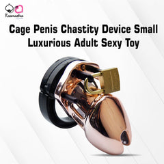 Chastity Cage Penis Lock Small Adult Sex Toy
